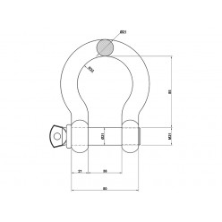 Bow Shackle 3.0t